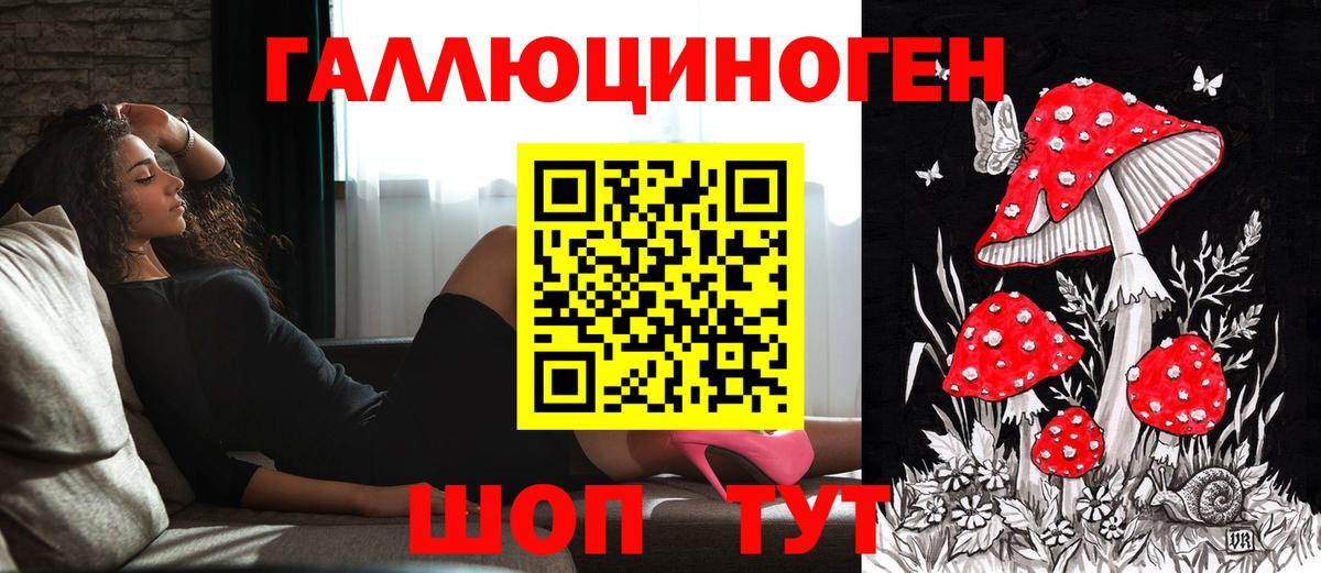 Калач-на-Дону  Псилоцибиновые грибы Cubensis  Вход с VPN 